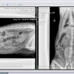 boris-xray-05-25-2014