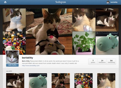 Boris Kitty Instagram