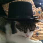 Top Hat