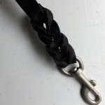 Lavien Leather Leash