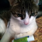 Organic Pawstik For Doggy Paw Paws #Review & #GiveAway #OrganicPawstikPawBalm