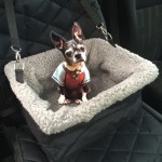 Devoted Doggy Pet Booster Seat for Cars Review
