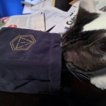 Every Gamer Cat Needs a #ThirdDie Dice Bag