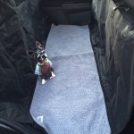 Pet Car Seat Cover