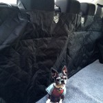 Pet Car Seat Cover