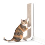 Vertical Scratcher