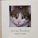 Win a Boris Kitty Book at #SCIFIpawty from @KittehBoi & Others