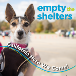 #EmptyTheShelters is Heading West