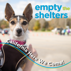 empty the shelters