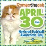 National Hairball Awareness Day