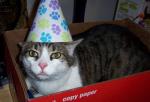 It Ma Birfaday. YAY ME!