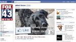 Fox 43 News Halps Animals Thru facebook
