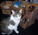 OMC OurPets Did Sends Donations For Kitties in da Shelter