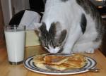 Happy Pancake Day