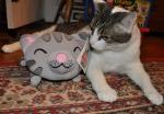 Enter to win Plush Soft Kitteh