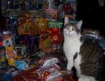 Tabbies for Toys for Tots -- MOL